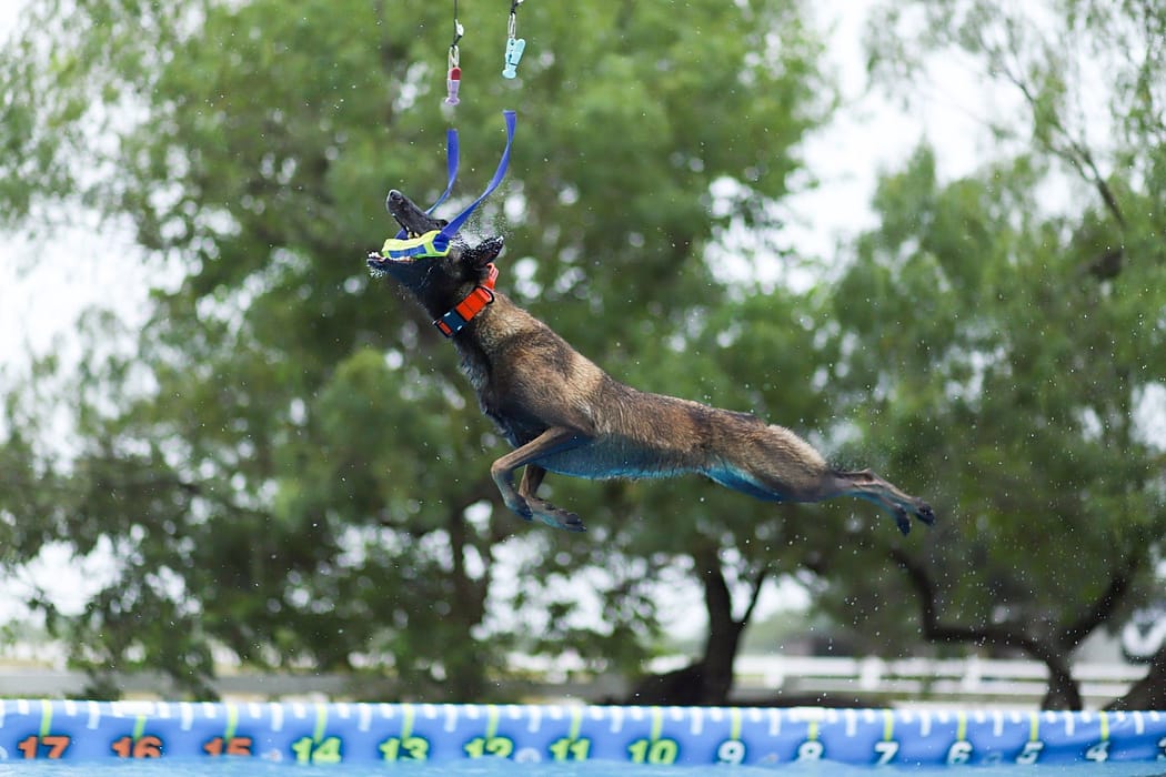 Helping Nova Reach New Goals