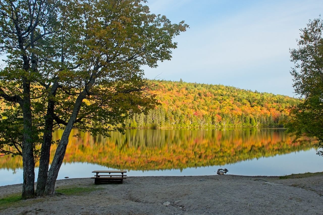 Fall Into Wellness