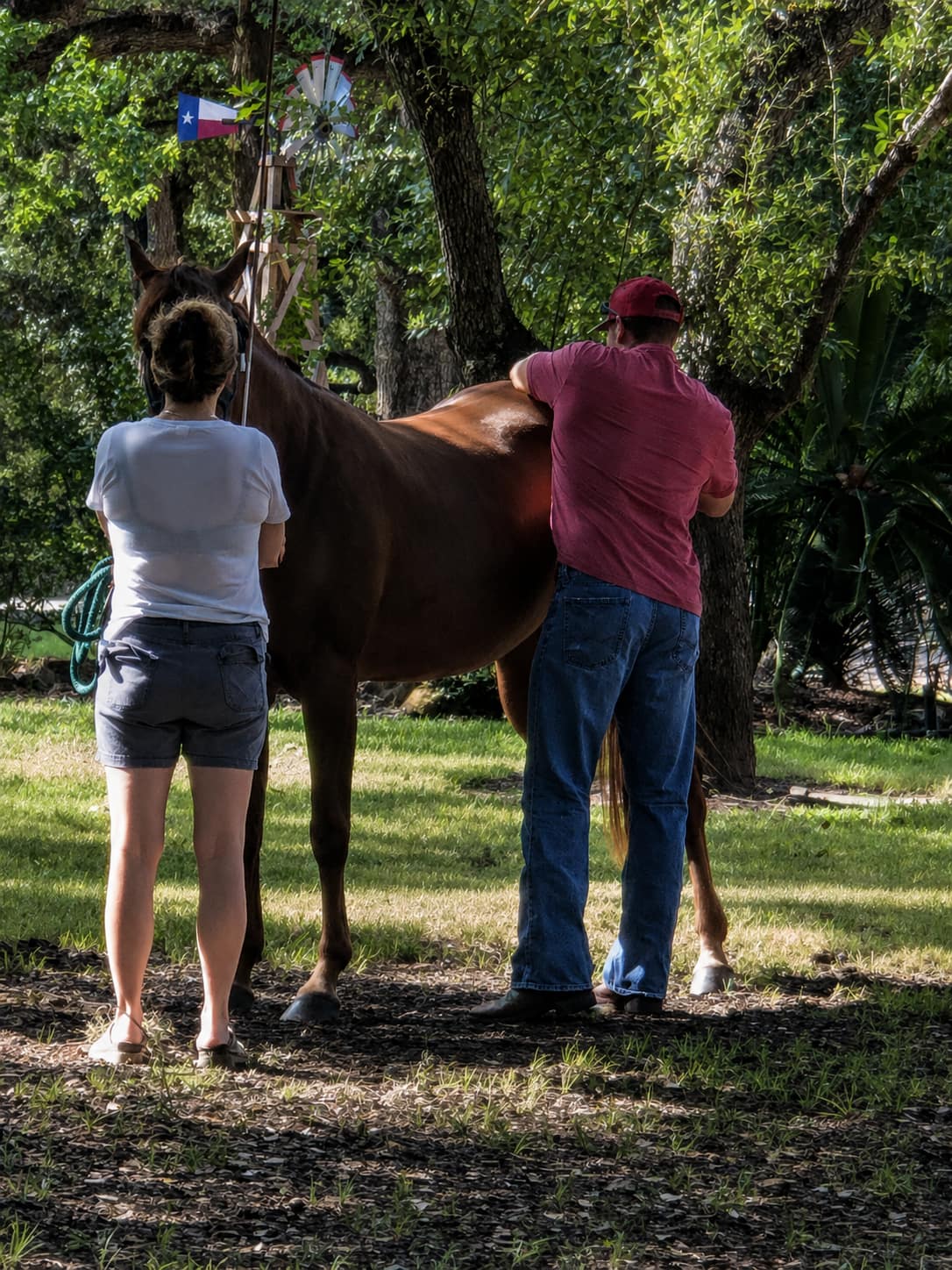 Dr. Stephen Ford providing mobile equine chiropractic care at a Greater Houston barn
